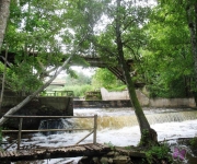 Kafejnīca "Rīva"