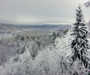 Arhīvs: Sigulda aicina foto pastaigās(ARHĪVS)
