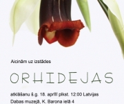 Arhīvs: Izstāde „Orhidejas” Latvijas Dabas muzejā(ARHĪVS)