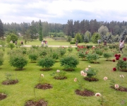 Sightseeing: Kalsnava Arboretum