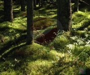 Sightseeing: Slitere national park