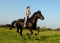  AdventureRide horse stables and riding