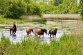  AdventureRide horse stables and riding