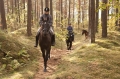  AdventureRide horse stables and riding
