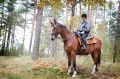  AdventureRide horse stables and riding