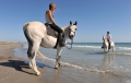  AdventureRide horse stables and riding