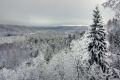 Sigulda aicina foto pastaigās(ARHĪVS)