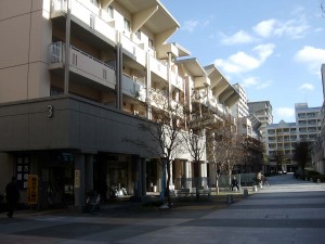 Akino Fuku