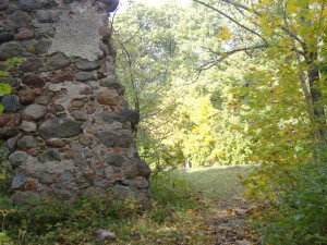 Tervete_pilsdrupas