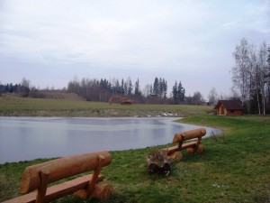 forelu_diiki_latgale forelu_diiki_latgale