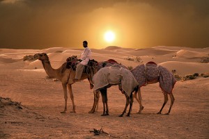 tuksnesha_plashumi_kamiela_muguraa