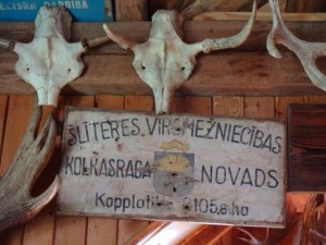 Sliteres virsmeznieciba