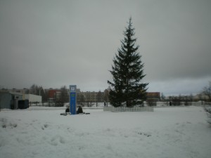 skibaegle