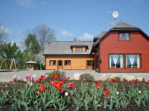 viesu_majas_tulp