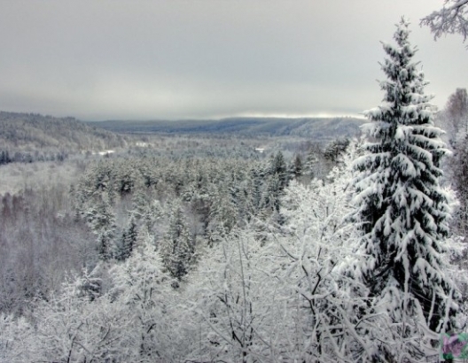 Sigulda aicina foto pastaigās(ARHĪVS)