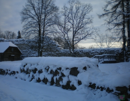 Cēsu piedāvājums februārī(ARHĪVS)