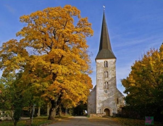 Jaunpils baznīca