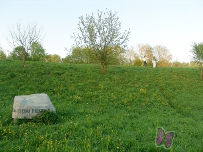 Kalna ziedu pilskalns