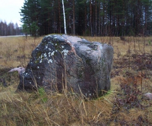 Subinaites laukakmens