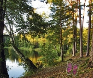 Dabas parks „Beberbeķi” (pastaigu taka, dzirnavezers)