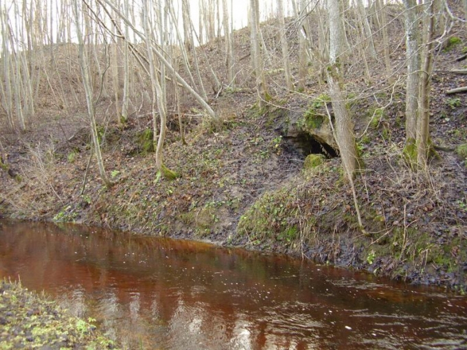 Dagdas ala