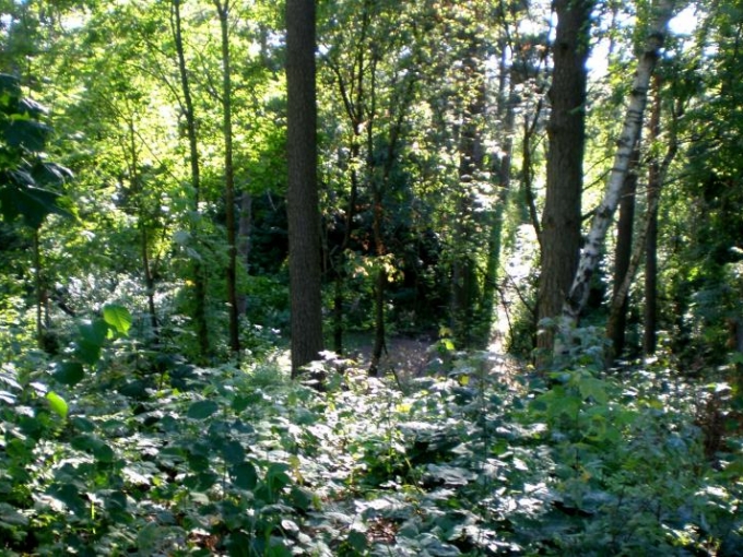 Meteorīta krāteris Smiltenē