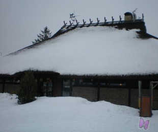 Putnu balle, Framest un Čučumuiža - Siguldā(ARHĪVS)