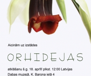 Izstāde „Orhidejas” Latvijas Dabas muzejā(ARHĪVS)