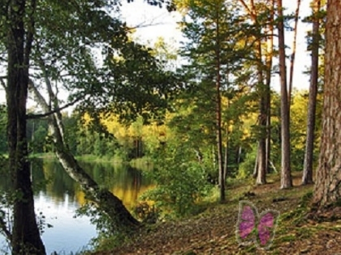 Dabas parks „Beberbeķi” (pastaigu taka, dzirnavezers)