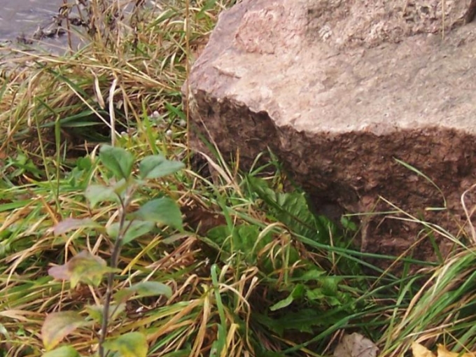 Brīva diena Preiļos