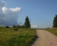 Emīla Dārziņa atcerei un piemiņai(ARHĪVS)