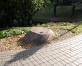 Piemineklis Vladimiram Gomanovičam