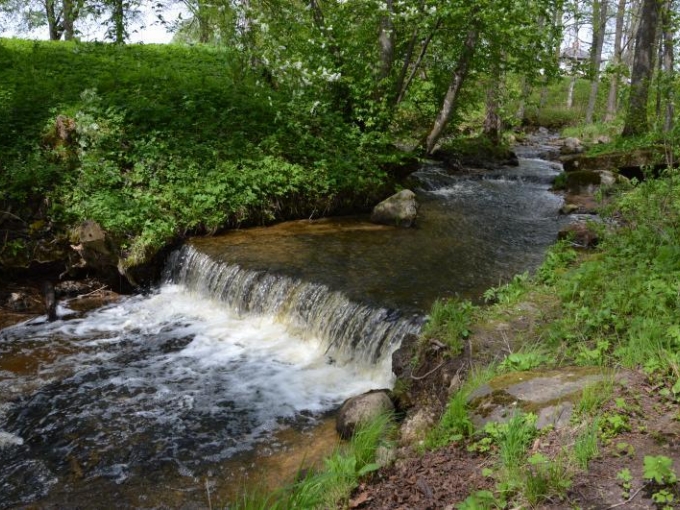 Zviedru skansts