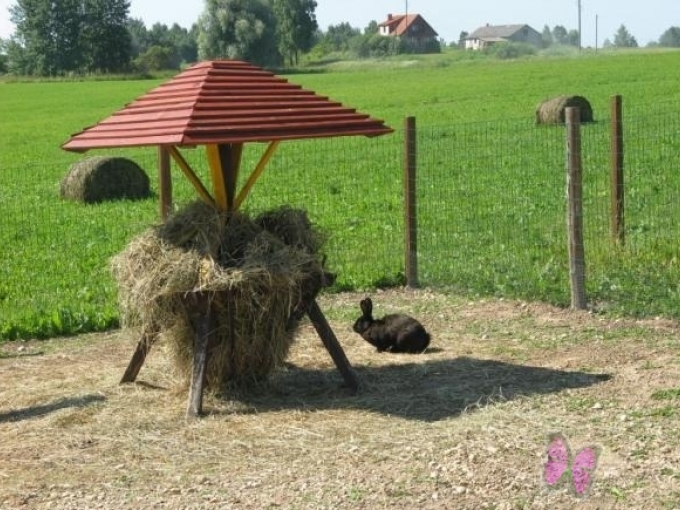 Zemnieku saimniecība Guntiņi