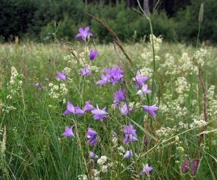 Līgo svētku pasākumi Daugavpils novadā(ARHĪVS)