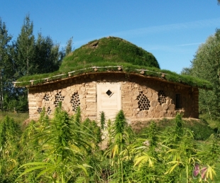Sēņu diena Līgatnes dabas takās(ARHĪVS)
