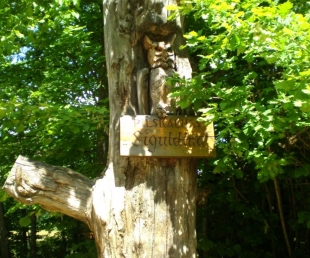 Meža ainavu parks - Pilskalnes "Siguldiņa".