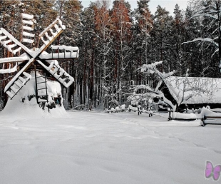 Ziemas prieki  Brīvdabas muzejā!(ARHĪVS)