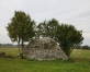 Tilgaļu Lielais (Krauju, Vandzenes akmens)