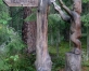 Skaņākalna parks