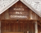 Vidzemes pilis