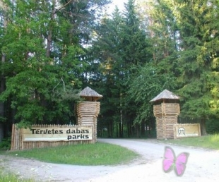 Visus aicinām uz Saulgriežu dienām Tērvetē(ARHĪVS)