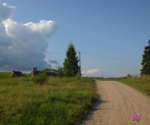 Emīla Dārziņa atcerei un piemiņai(ARHĪVS)