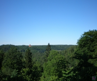 Aicina vērot lašu nārstu Gaujā(ARHĪVS)