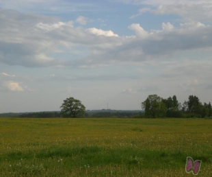 Bungu šovs un Asteru Nakts balle Vecpiebalgā