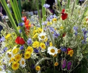 Pirmsjāņu ekskursija pa Smiltenes novadu(ARHĪVS)