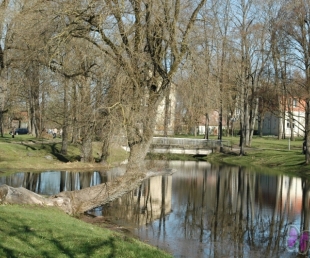 Krustpils pils nedēļa(ARHĪVS)