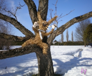  Salaspils „Rīgavā” spēlēs un spēlēsies(ARHĪVS)