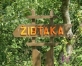 Žibgravas veselības taka