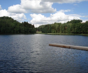 Drīdža ezers